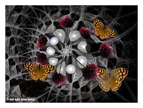 Podrían ser orgánicos