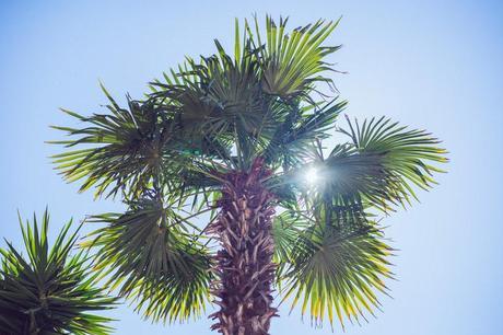 Inspirational Monday #10 Inspirational Monday #10