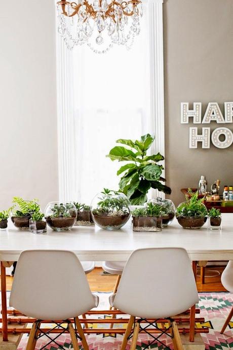 2 ideas con #plantas para decorar