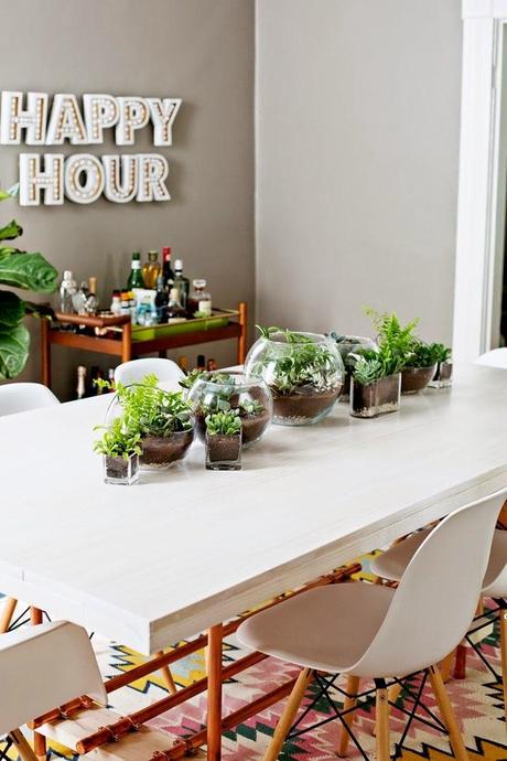 2 ideas con #plantas para decorar