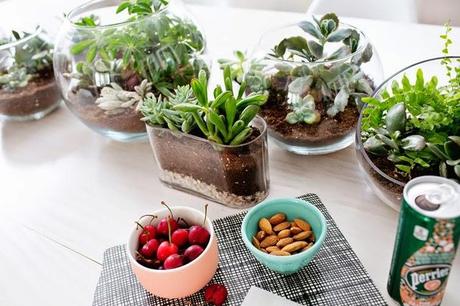 2 ideas con #plantas para decorar