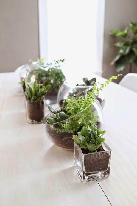 2 ideas con #plantas para decorar