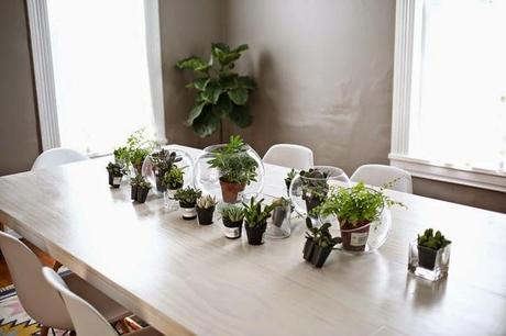 2 ideas con #plantas para decorar