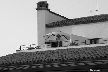 Hoy compartimos: Ventanas, terrazas y jardines