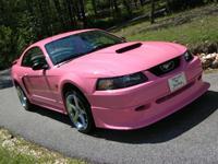 Mustang rosa Laila Winter - Destacados - Estudio a la ocurrencia