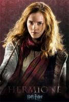 Hermione Granger, Harry Potter Laila Winter - Destacados - Estudio a la ocurrencia