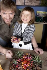 Mi primer jardín: Contenedor de cristal con Hawortias Alejandra aporta color 199x300 Mi primer jardín: Contenedor de cristal con Hawortias