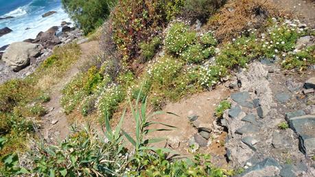 Otro año más, abandonados....