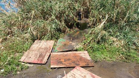 Otro año más, abandonados....