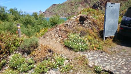 Otro año más, abandonados....