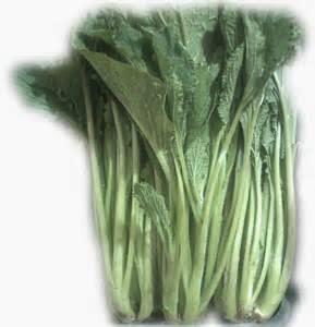 ¿CONOCEIS LA BORRAJA?