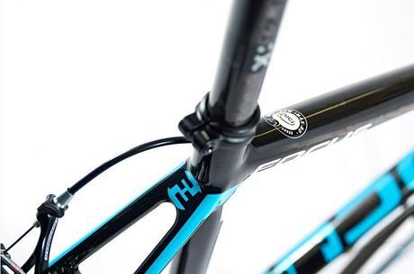 Focus Izalco Max Team 4