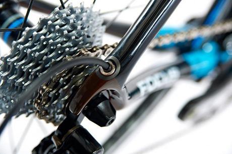 Focus Izalco Max Team 6