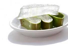 farmaceuticainmavinue