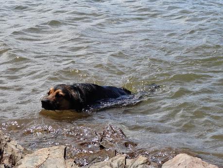Domingo en el embalse del Atazar