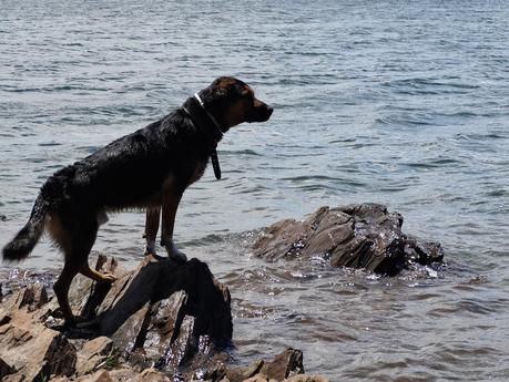 Domingo en el embalse del Atazar