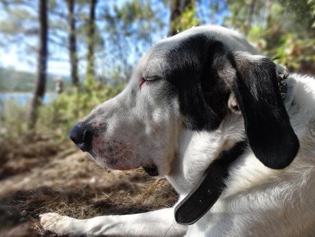 Domingo en el embalse del Atazar