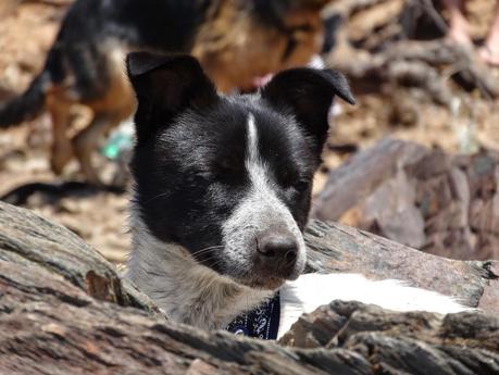 Domingo en el embalse del Atazar