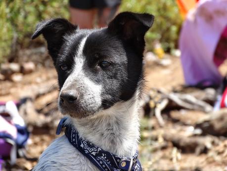 Domingo en el embalse del Atazar