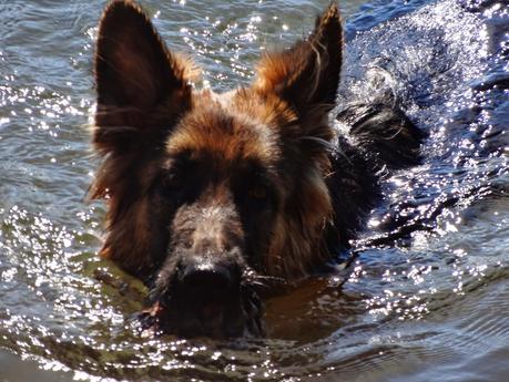 Domingo en el embalse del Atazar