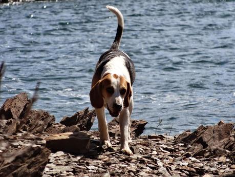 Domingo en el embalse del Atazar