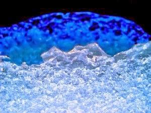 Bella y con Estilo como funciona