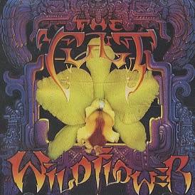 The Cult - Wild flower (Live) (2007)