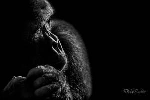 2-Antonio De La Orden-Miedo-Sakafotos