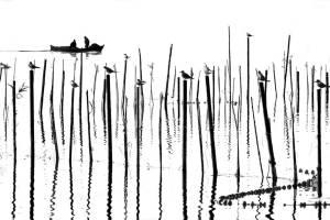 3-Jose L.Vilar Jordán-XXX-Sakafotos