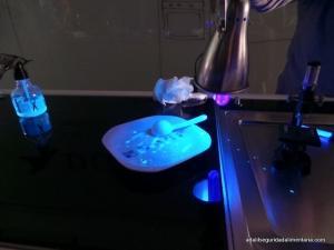 Las preguntas de los niños luz negra