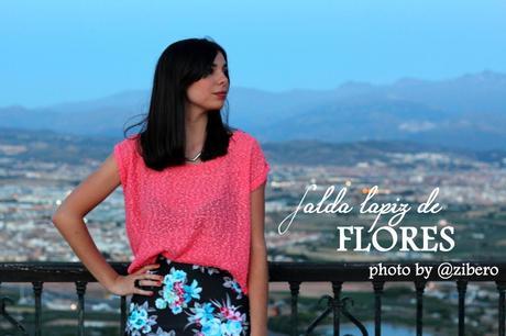  photo faldalapizflores_zps430c29f8.jpg