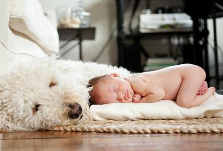 newborn-with-dog-saratoga-ny-photographer-thea-coughlin