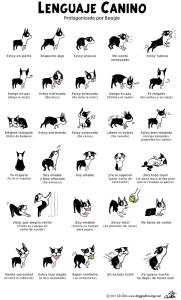 Las mascotas y los bebés