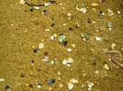 Apego (poema conciencia social)