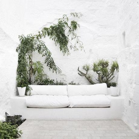 decoracion-blanco+plantas-08