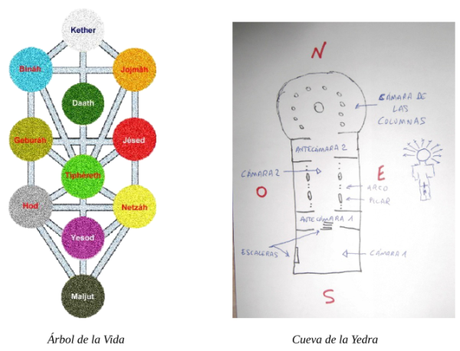 planta