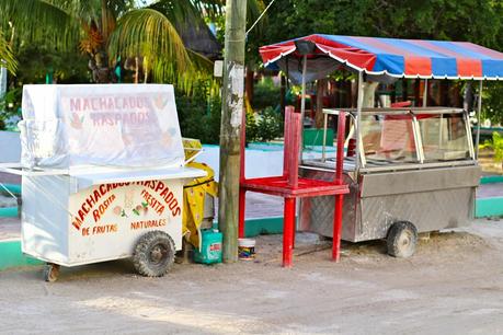 #HOLBOX: Second day swimming with the Whale-Shark