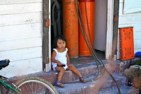 #HOLBOX: Second day swimming with the Whale-Shark