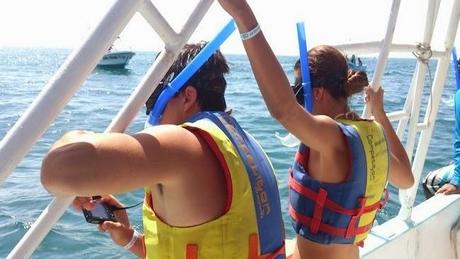 #HOLBOX: Second day swimming with the Whale-Shark