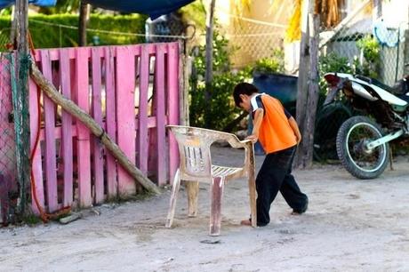 #HOLBOX: Second day swimming with the Whale-Shark