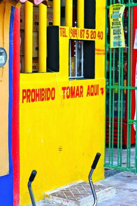 #HOLBOX: Second day swimming with the Whale-Shark