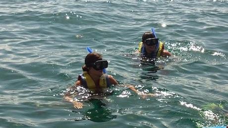 #HOLBOX: Second day swimming with the Whale-Shark