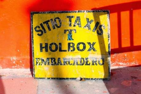 #HOLBOX: Second day swimming with the Whale-Shark