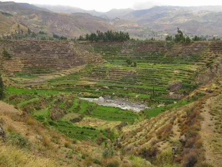 Yanque : más allá del cliché