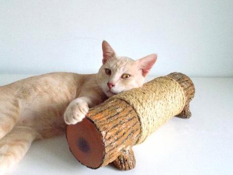 Juguetes para los niños