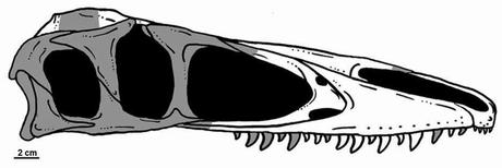 Noticias dinosaurianas