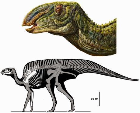 Noticias dinosaurianas