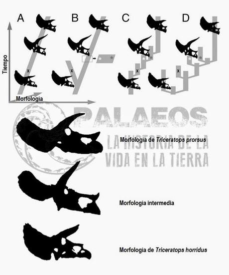 Noticias dinosaurianas