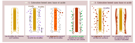 Henna,como colorear y tratar el cabello A-Z