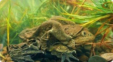 Lo mejor de El Mundo de Skizzo: los 10 posts más leídos en el mes de Junio de 2014.